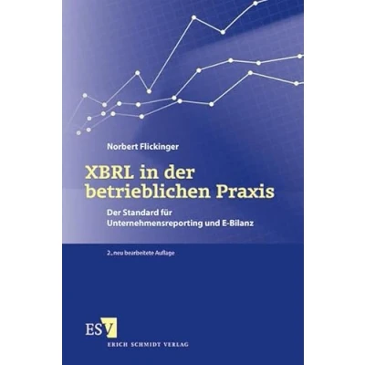 Abbildung von XBRL in Der betrieblichen Praxis: Standard für Unternehmensreporting und E Bilanz