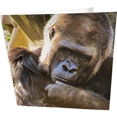 Abbildung von Maturi Geburtstagskarte, quadratisch, unbeschriftet, Motiv Thinking Gorilla