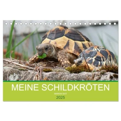 Abbildung von Meine Schildkröten (Tischkalender 2025 DIN A5 quer), CALVENDO Monatskalender
