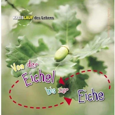 Abbildung von Von der Eichel bis zur Eiche: Kreislauf des Lebens (CORONA Sachbücher)