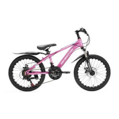 Abbildung von Generation M 760 Mountainbike 20 Zoll Rosa Schutzbleche