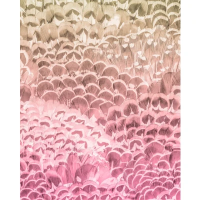 Abbildung von Komar Vliestapete &quot;Pale Feathers&quot;, 200x250 cm (Breite x Höhe), Vliestapete, 100 Bahnbreite