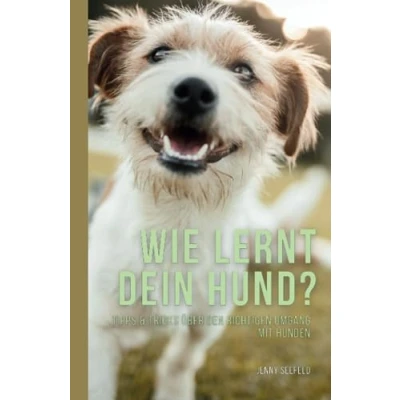 Abbildung von Wie lernt dein Hund?: Tipps &amp; Tricks über den richtigen Umgang mit Hunden