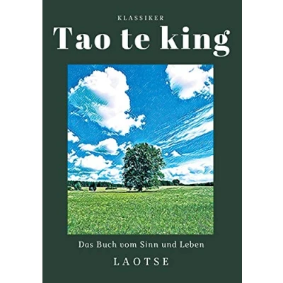 Abbildung von Tao te king: Das Buch vom Sinn und Leben