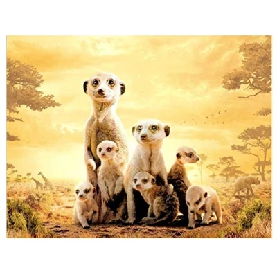 Abbildung von 5D DIY Diamant Malerei Kits Erdmännchen Familie Full Strass Crystal Erwachsen Kreuzstich Stickerei Diamond Painting Mosaik Bilder Schlafzimmer Home Wall Dekoration Handwerk 50x70cm/20x28in B7274