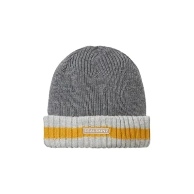 Abbildung von SEALSKINZ Holkham Unisex Beanie Mütze für kaltes Wetter, gestreift, Alltag und Outdoor Aktivitäten, warmes Fleecefutter, dreilagige Isolationstechnologie