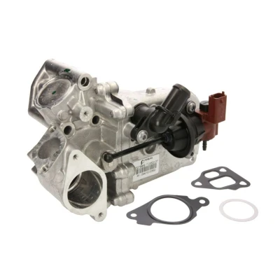 Abbildung von PIERBURG 7.03622.06.0 AGR Kühler mit Dichtung FIAT: Doblo II Pritsche/Fahrgestell, Kasten / Kombi, OPEL: Corsa D Schrägheck