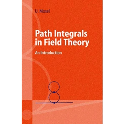 Abbildung von Path Integrals in Field Theory: An Introduction (Advanced Texts Physics)