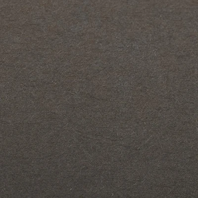 Abbildung von Clairefontaine 93860C Packung (mit 25 Bögen Zeichenpapier Etival Color, DIN A4, 21 x 29,7 cm, 160g, gekörnt, ideal für Trockentechnik und Einrahmen) anthrazit