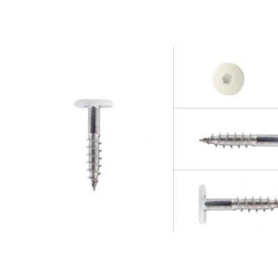 Abbildung von Schrauben für Trespa® HPL Platten Edelstahl A2 weiß 4,8 x 25 mm 100 Stück