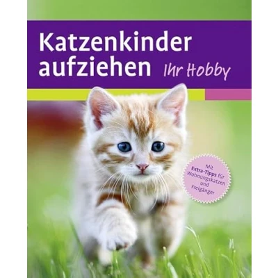 Abbildung von Katzenkinder aufziehen: Ein praktischer Ratgeber für das erste Lebensjahr