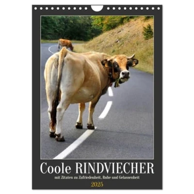 Abbildung von Coole Rindviecher (Wandkalender 2025 DIN A4 hoch), CALVENDO Monatskalender