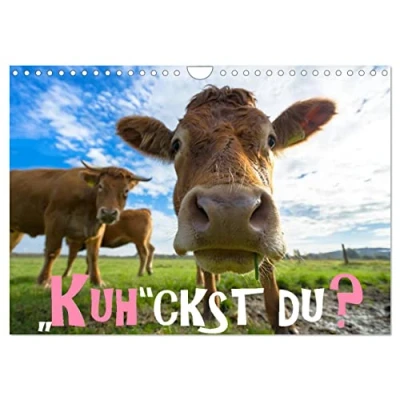 Abbildung von Kuhckst du? (Wandkalender 2025 DIN A4 quer), CALVENDO Monatskalender