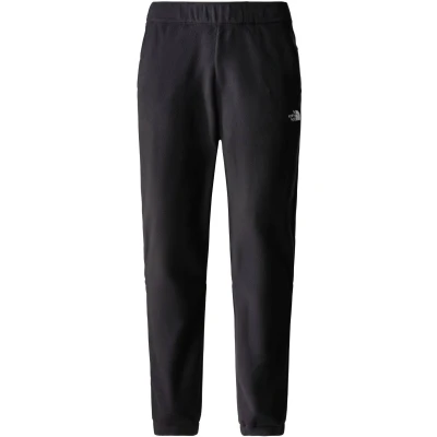 Abbildung von THE NORTH FACE 100 Glacier Herren Hose, TNF Black, M