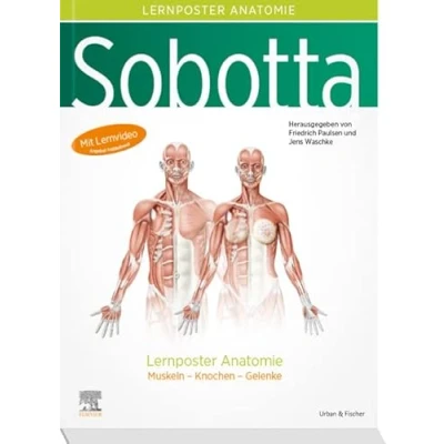 Abbildung von Sobotta Lernposter Anatomie: Muskeln Knochen Gelenke