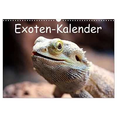 Abbildung von Exoten Kalender (Wandkalender 2025 DIN A3 quer), CALVENDO Monatskalender