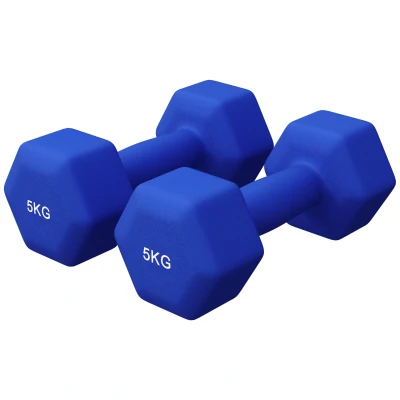 Abbildung von GORILLA SPORTS® Hanteln Set Neopren, 2 x 5 kg, Gusseisen, Königsblau Hexagon Kurzhanteln, Hantelset, Hantel Gewichte, Kurzhantelset für Pilates, Frauen, Männer, Fitness, Aerobic, Gymnastik
