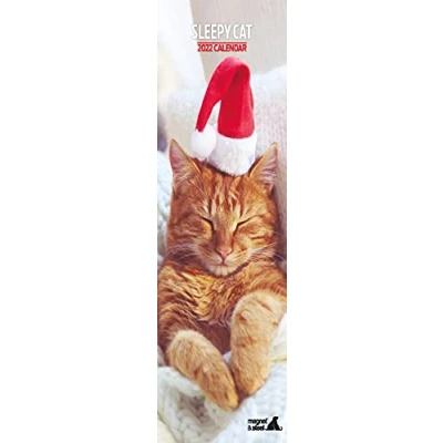 Abbildung von Magnet &amp; Steel Sleepy Cat Slim Kalender 2022