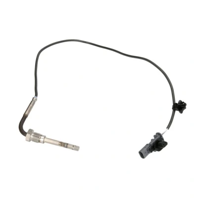 Abbildung von Sensor, Abgastemperatur MEAT &amp; DORIA 12374