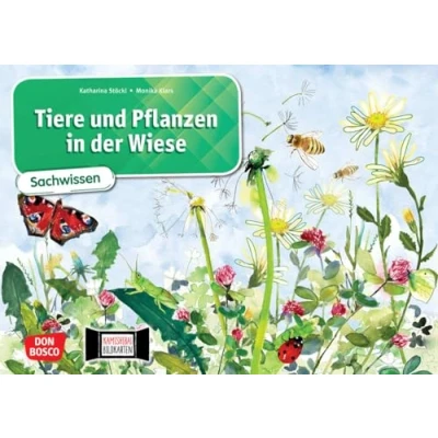 Abbildung von Tiere und Pflanzen in der Wiese. Kamishibai Bildkartenset: Sachwissen im Kamishibai. Mit dem Erzähltheater Sachunterricht Grundschule lebendig ... (Sachwissen für das Kamishibai)