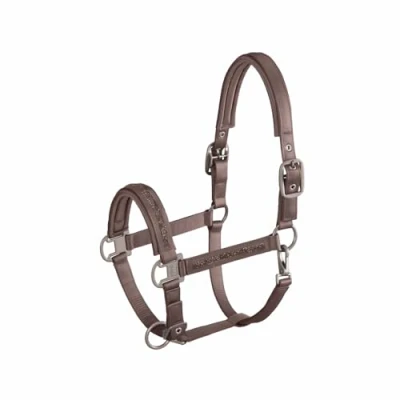 Abbildung von Eskadron SS&#039;24 Classic Halfter Mattgloss Jewel