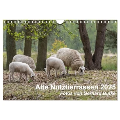 Abbildung von Alte Nutztierrassen 2025 (Wandkalender DIN A4 quer), CALVENDO Monatskalender