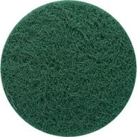 Abbildung von Expert Vliesscheibe N880 Mehrzweck XS, Ø 125mm, Schleifblatt