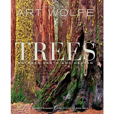 Abbildung von Trees: Between Earth and Heaven