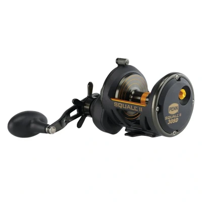Abbildung von Penn Squall® II Star Drag Zeevis Reel RH 30 SD