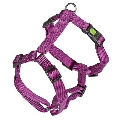 Abbildung von Kerbl Geschirr MIAMI Lila 15mm 40 57cm