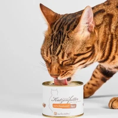 Abbildung von Katzenfutter Hühnerherzen Premium Qualität (4 x 200 Gramm)