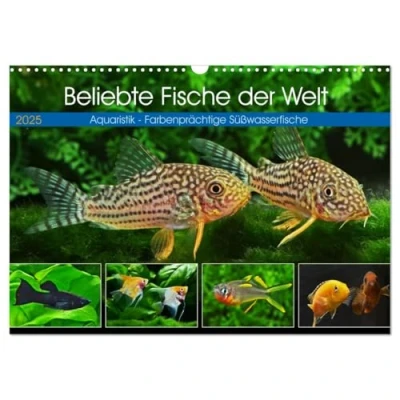 Abbildung von Beliebte Fische der Welt (Wandkalender 2025 DIN A3 quer), CALVENDO Monatskalender
