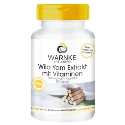 Abbildung von WILD YAM Extrakt Kapseln 250 St