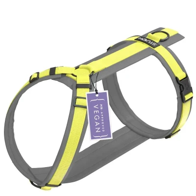 Abbildung von Hundegeschirr gepolstert Lime XS