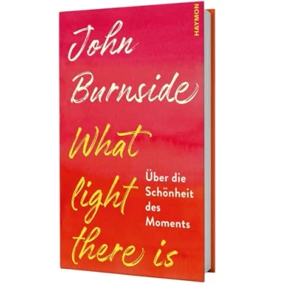 Abbildung von What light there is. Über die Schönheit des Moments