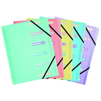 Abbildung von Exacompta 56170E Premium Kunststoff Ordnungsmappe Chromaline Pastell transluzentem Polypropylen DIN A4 6 Fächer 3 Klappen 2 Gummizügen und Indexfenstern sowie 1 Tasche innen Stück Zufallsfarbe