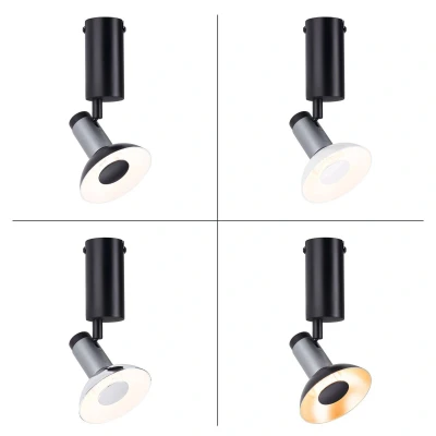 Abbildung von Paulmann 79520 Neordic Deckenleuchte Runa max. 20 W dimmbar Wandleuchte Schwarz, Anthrazit Wohnzimmer Metall Deckenlicht GU10