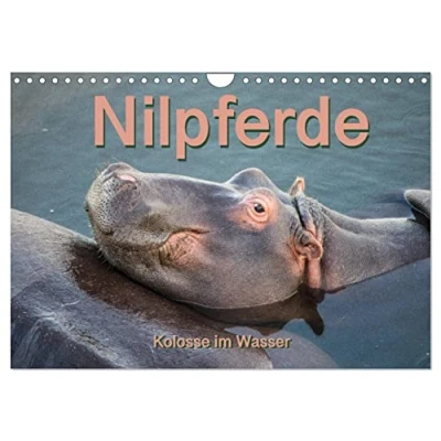 Abbildung von Nilpferde, Kolosse im Wasser (Wandkalender 2025 DIN A4 quer), CALVENDO Monatskalender