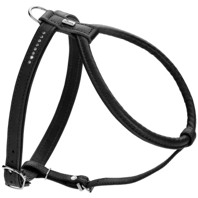 Abbildung von Geschirr Round &amp; Soft Canadian Up S M, Schwarz M