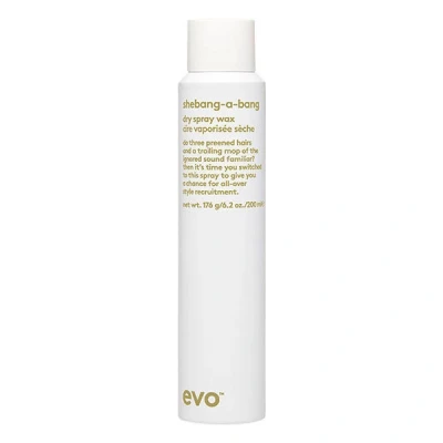 Abbildung von Evo shebang a bang dry Spray wax 200ml I feines Styling für alle Haartypen mehr Halt, Glanz und Schimmer vegan, ohne Sulfate