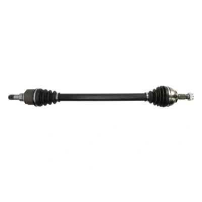Abbildung von Antriebswelle PASCAL G2P080PC