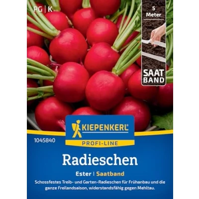Abbildung von Kiepenkerl Profi Line Radieschensamen Ester 1045840 Schossfest Widerstandsfähig Inhalt für 5 lfd. Meter Gemüsesamen, Samen Gemüse, Saatband