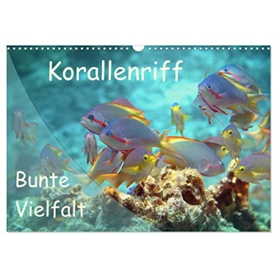 Abbildung von Bunte Vielfalt im Korallenriff (Wandkalender 2025 DIN A3 quer), CALVENDO Monatskalender
