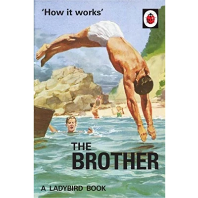 Abbildung von How it Works: The Brother: A Ladybird Book (Ladybirds for Grown Ups)