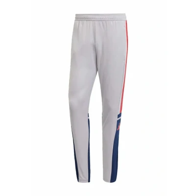 Abbildung von adidas Herren SQUADRA25 Training Pant, Glory Grey/Team Navy Blue 2 / Pure Ruby, XS