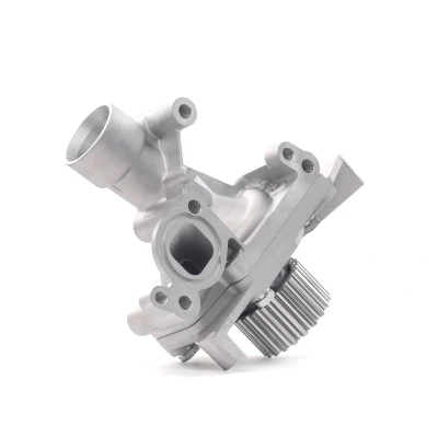 Abbildung von DOLZ C138 Wasserpumpe mit Gehäuse PEUGEOT: 308 I SW, 206 Schrägheck, 406 Limousine, CITROËN: C8, C5 III Kombi, C4 Picasso 1, LANCIA: Zeta