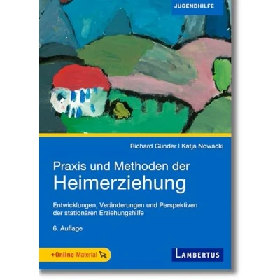 Abbildung von Praxis und Methoden der Heimerziehung: Entwicklungen, Veränderungen Perspektiven stationären Erziehungshilfe