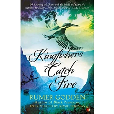Abbildung von Kingfishers Catch Fire: A Virago Modern Classic (Virago Classics)