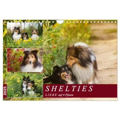 Abbildung von SHELTIES Liebe auf 4 Pfoten (Wandkalender 2025 DIN A4 quer), CALVENDO Monatskalender