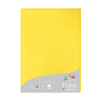 Abbildung von Clairefontaine 24217C Packung mit 25 Karten Pollen 210g, DIN A4, 21 x 29,7cm, Sonne